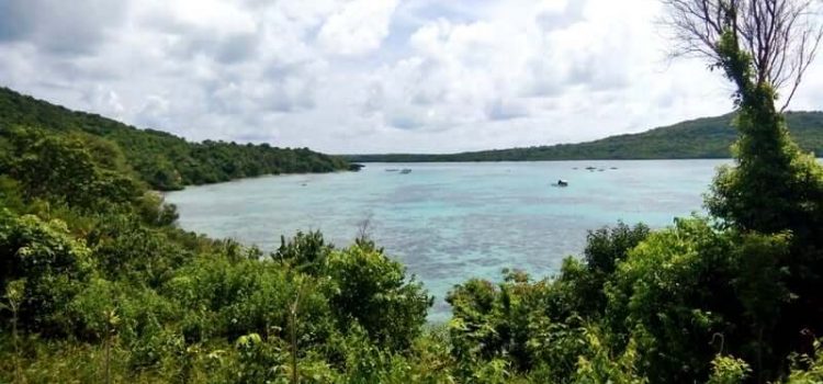 Open Trip KarimunJawa Januari 2022 Murah 2 Orang dari Jakarta