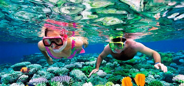 Open Trip KarimunJawa Agustus 2022 Murah 2 Orang dari Jakarta