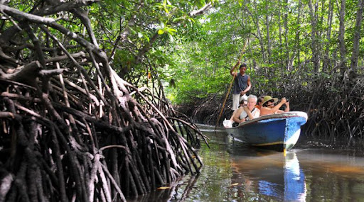 Tempat Wisata Mangrove Forest - Paket Nusa Penida + Nusa Lembongan 3 hari 2 malam: