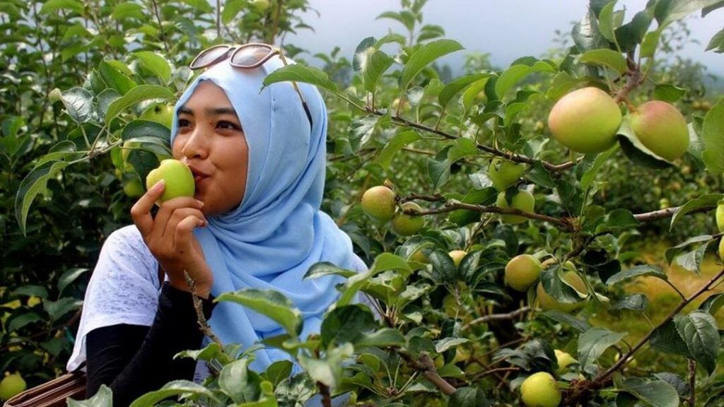 Tempat Wisata Petik Apel Wisata Malang 3 Hari 2 Malam Murah 2022 dari Jakarta