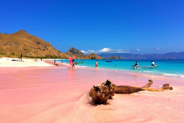 Tempat Wisata Pink Beach Paket Wisata Labuan Bajo 4 Hari 3 Malam: